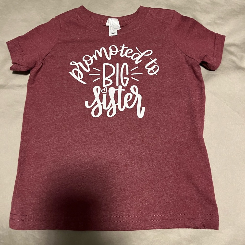 Promoted to big sister t-shirt